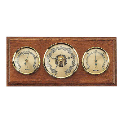 Метеостанция Moller (203223)