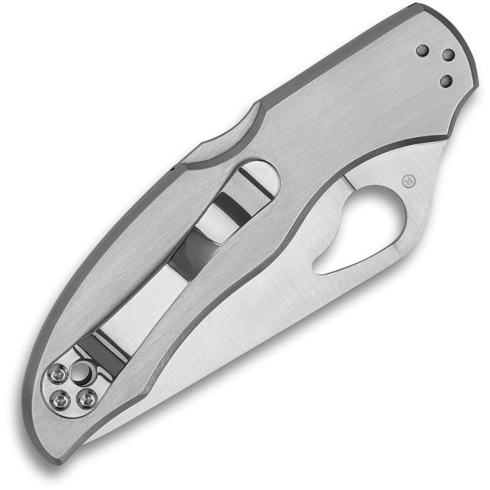 Нож Spyderco Byrd Harrier 2 (BY01P2)  