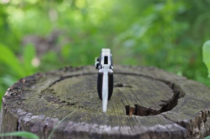 Нож складной Ganzo G720-B черный  