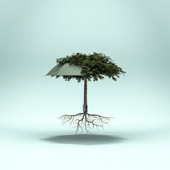 Зонт Vision Plant Авто/Складной/8спиц/D97x28см  