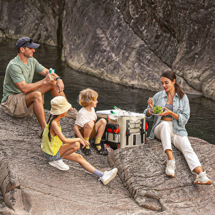 Аккумуляторный холодильник-рюкзак Litheli 16л, питание от павербанка (УМБ Litheli Power Bank 20000 mAh, 45 W в комплекте)  