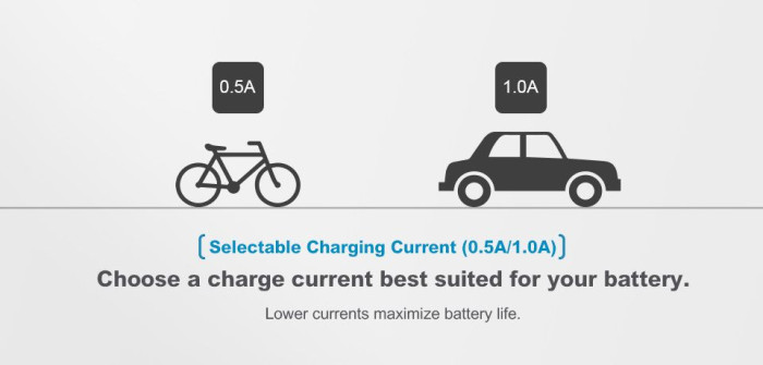 Зарядное устройство Xtar VC2 Plus Master  