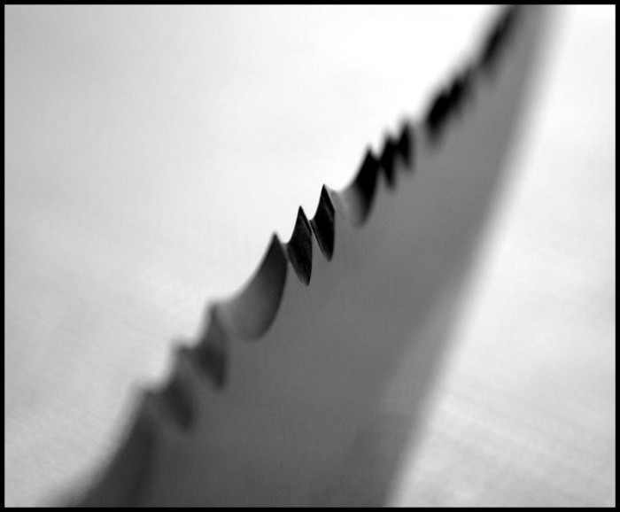 Нож Spyderco Civilian C12GS  