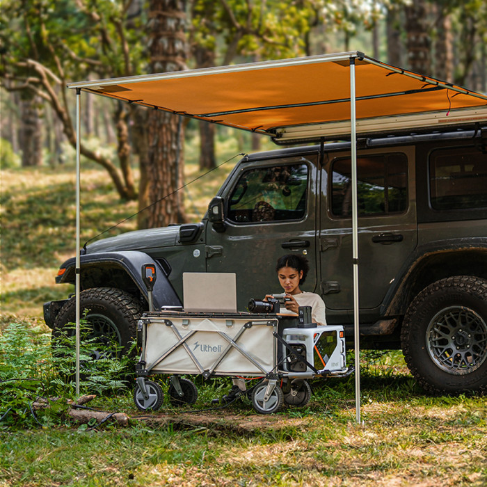 Аккумуляторная тележка Litheli с двигателем от павербанка (УМБ Litheli Power Bank 20000 mAh, 45 W в комплекте)  