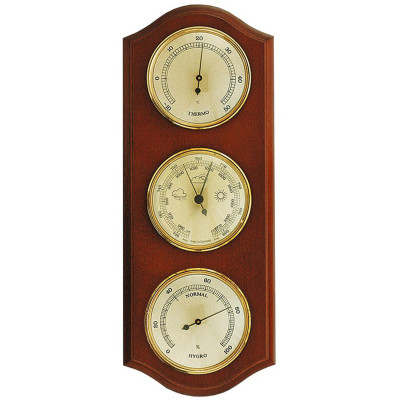 Метеостанция Moller  (203382)