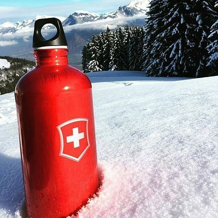 Бутылка для воды SIGG Swiss Emblem, 0.6 л (черная)  