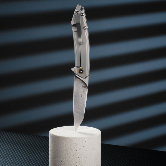 Складной нож Ruike P831S-SA  