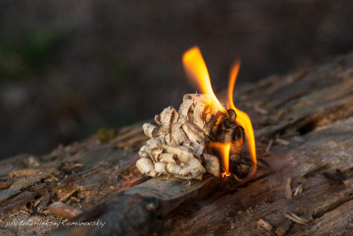 Нож Ganzo G8012, черный  