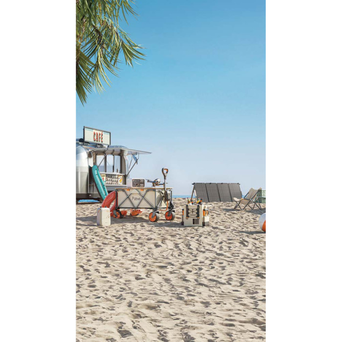 Аккумуляторная тележка с двигателем от павербанка Litheli (2шт УМБ Litheli Power Bank 20000 mAh, 45 W в комплекте)  