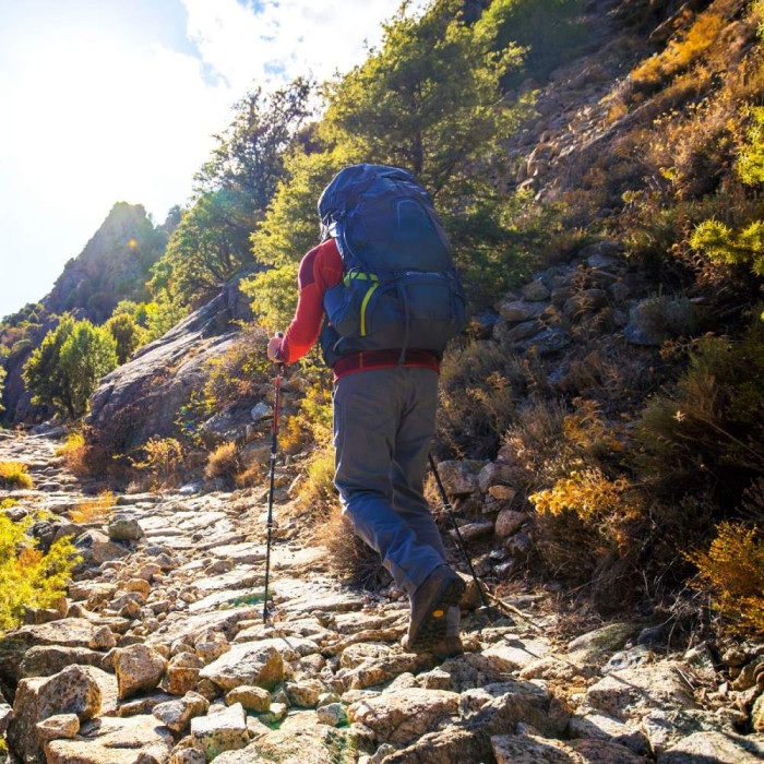 Рюкзак Osprey Atmos AG 65 Rigby Red  