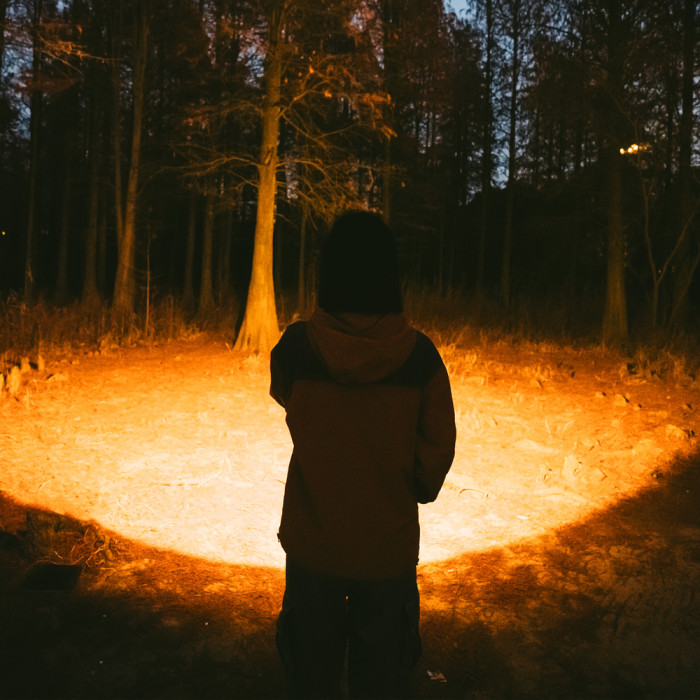 Фонарь прожектор Naturehike CNK2300012, коричневый  