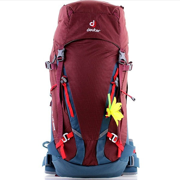 Рюкзак Deuter Guide 30+ SL цвет 5324 maron-arctic  