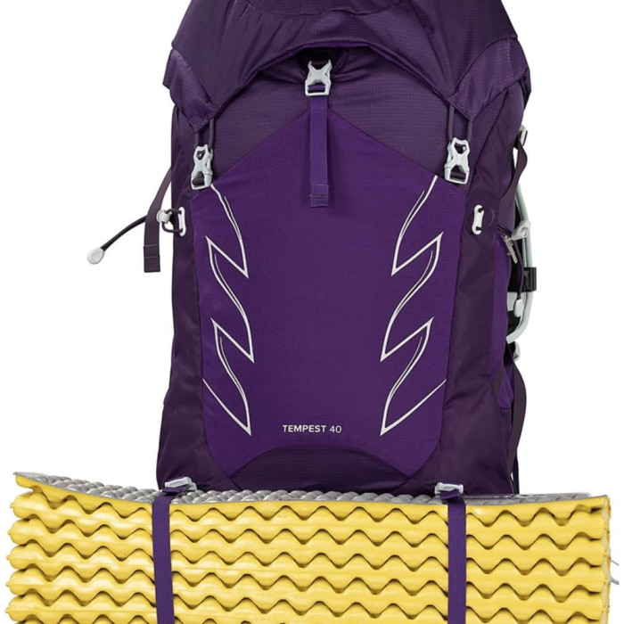 Рюкзак Osprey Tempest 40 л Violac Purple - WM/L - фиолетовый  