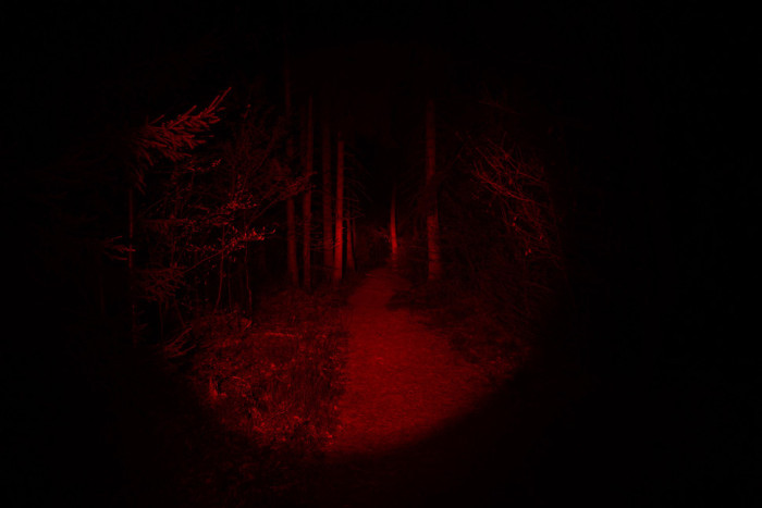 Фонарь ручной Cyansky H3 XHP3 5 HID4  