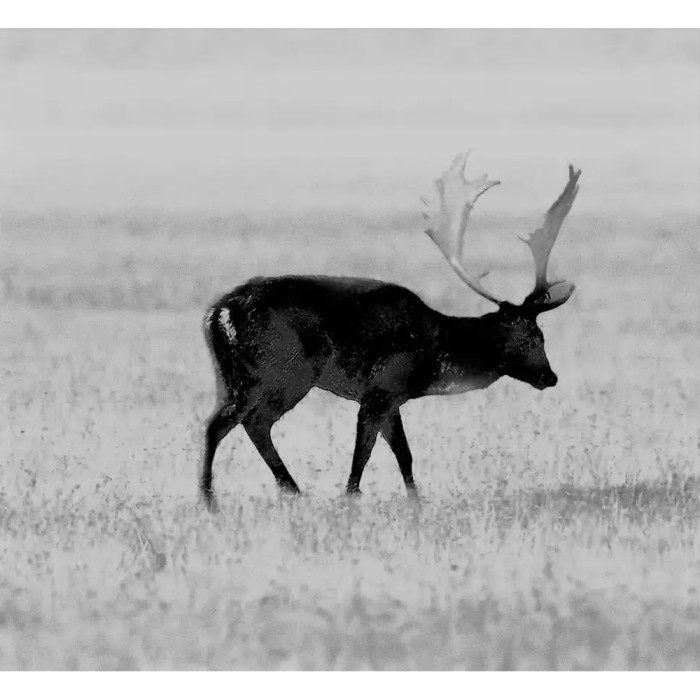 Прицел Guide TR222 Gen2, 25mm F1.0, 3.6-14.4x, 256x192@12μm, VOx (QD Long mount)  