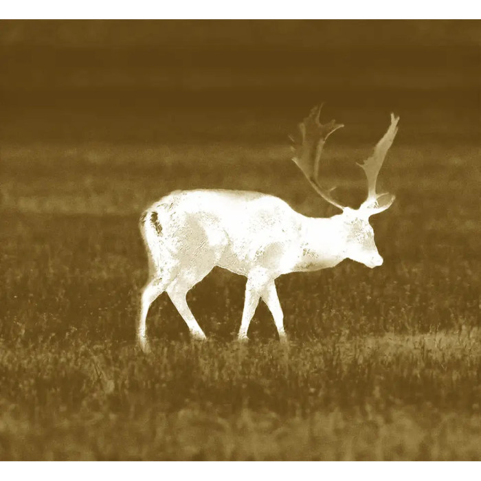 Прицел Guide TR222 Gen2, 25mm F1.0, 3.6-14.4x, 256x192@12μm, VOx (QD Long mount)  