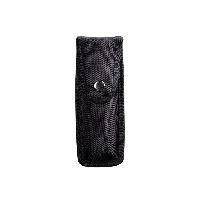 Чехол Fenix ALP-10 L 