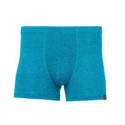 Термотрусы Turbat Retezat Boxer Mns lagoon - голубые