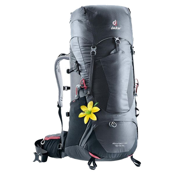 Рюкзак Deuter Aircontact Lite 45+10 SL graphite-black  