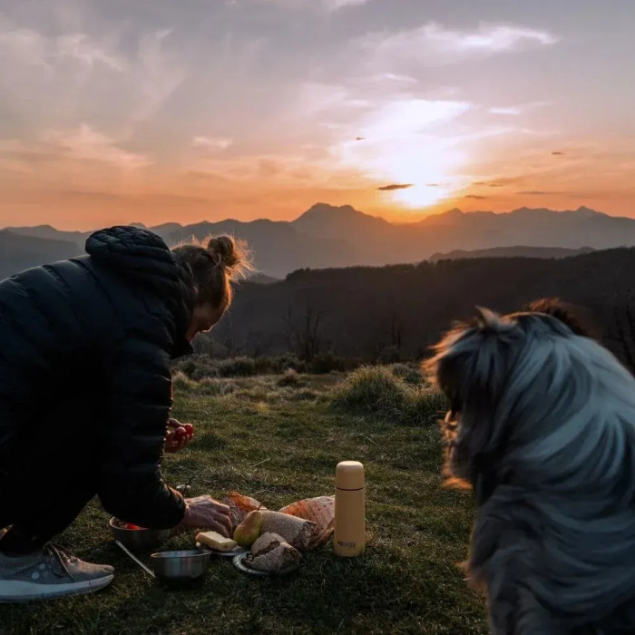 Термос PRIMUS Classic Light Vacuum Bottle 0.35 L stone gold  