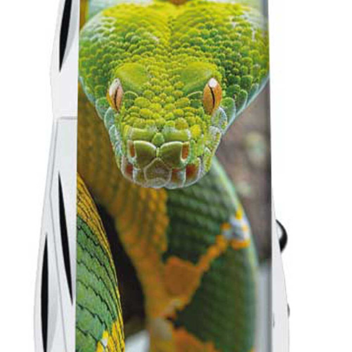 Складной нож Victorinox CLIMBER ZODIAC Зеленая змея 1.3703.7.Z4270pk  