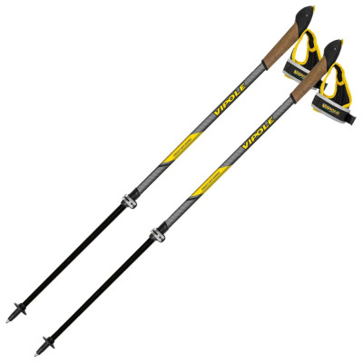 Палки для скандинавской ходьбы Vipole High Performer Carbon (S25 33)