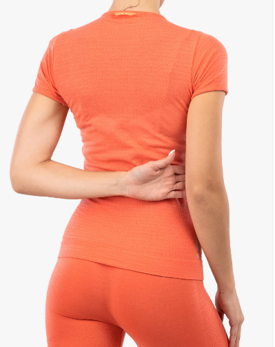 Термофутболка женская Salewa ZEBRU RESPONSIVE S/S ТЕЕ  - розовая, 40/34  