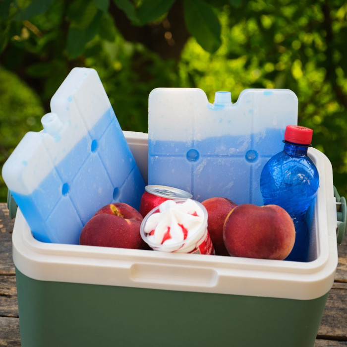 Аккумулятор холода гелевый IceBox, 30x17x2,5 см, 1000 мл  