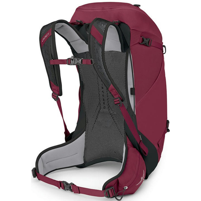 Рюкзак Osprey Hikelite 32 chameleon/black - M/L - бордовый  