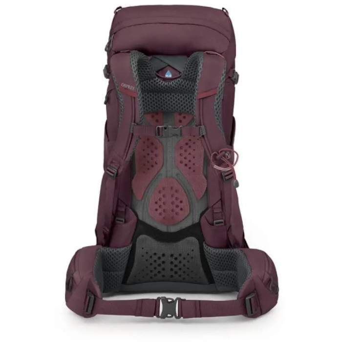 Рюкзак Osprey Kyte 38 elderberry purple - WM/L - фиолетовый  
