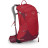 Рюкзак Osprey Stratos 24 poinsettia red - O/S - красный