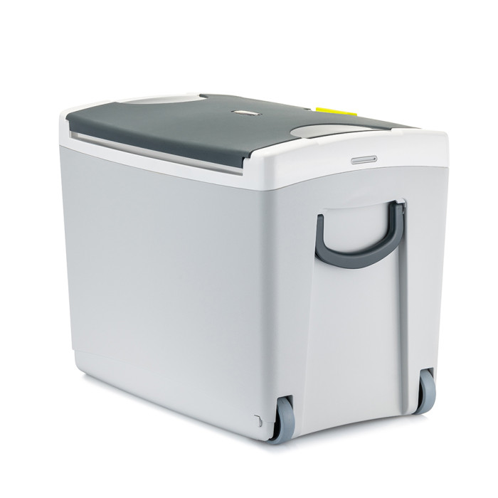 Термобокс GioStyle Shiver 42 + ICEPACKS  