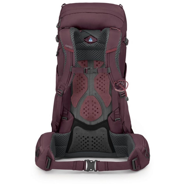 Рюкзак Osprey Kyte 38 elderberry purple - WXS/S - фиолетовый  