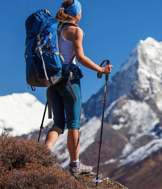 Набор колец для трекинговых палок Naturehike (1 large,1 small) NH19D002-Z  