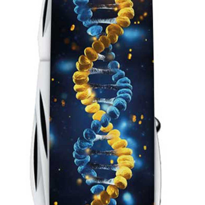 Складной нож Victorinox HUNTSMAN UKRAINE ДНК Украинца 1.3713.3.T3270pw  