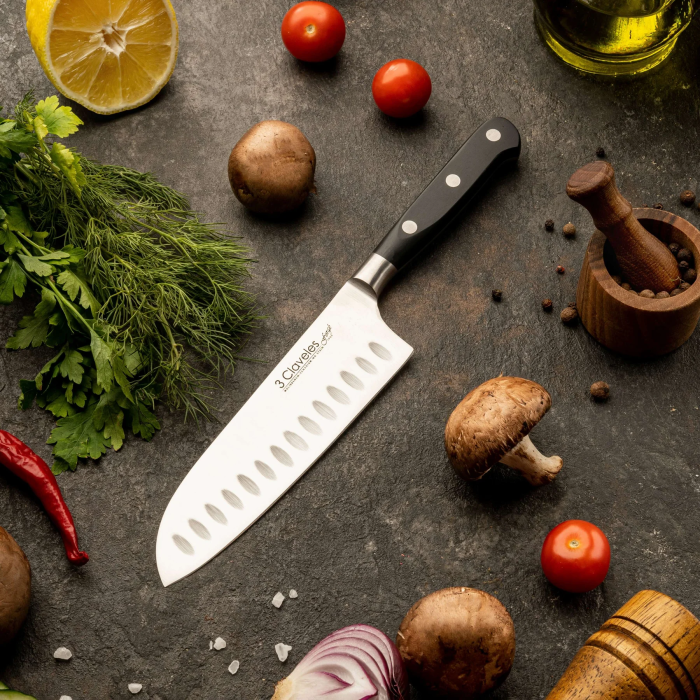 Набор из 3 кухонных ножей для сушиста, Forge 3claveles OH0030, Испания  