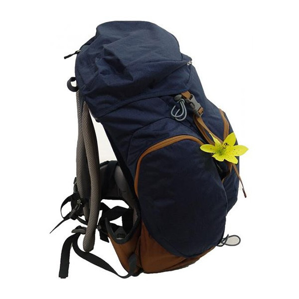 Рюкзак Deuter Groden SL, 30 л, midnight-lion  