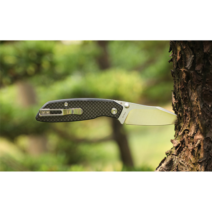 Нож складной туристический Ruike P746-CB, (8 см) 14C28N / G10 черный  