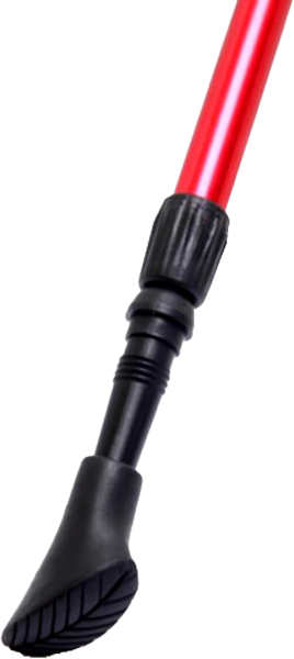 Трекинговые палки Fjord Nansen Nordic Pro II (30224)  