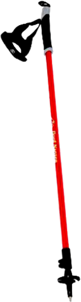 Трекинговые палки Fjord Nansen Nordic Pro II (30224)  