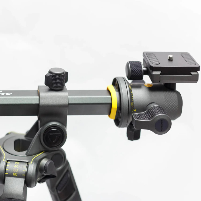 Штатив Vanguard Alta Pro 2+ 263CB 100 (Alta Pro 2+ 263CB 100)  