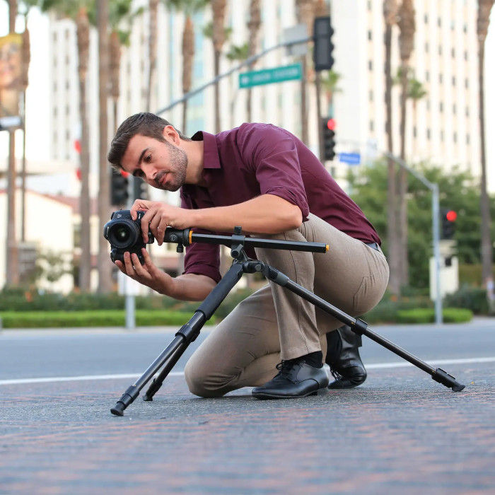 Штатив Vanguard Alta Pro 2+ 263CB 100 (Alta Pro 2+ 263CB 100)  