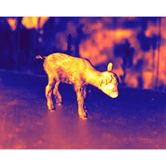 Прицел тепловизионный Guide TR 420 QD Long mount 2,3-9,2x25 384x288@12μm VOx. 1300 м  