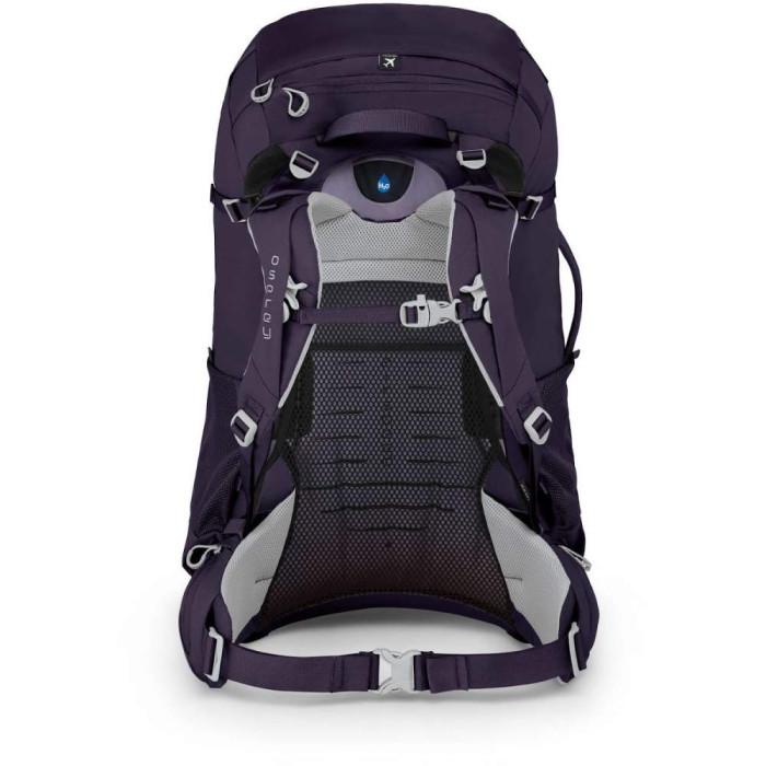 Рюкзак Osprey Fairview Trek 50 Amulet Purple  