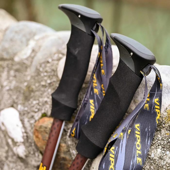 Палки трекинговые Vipole Trango (S25 15)  