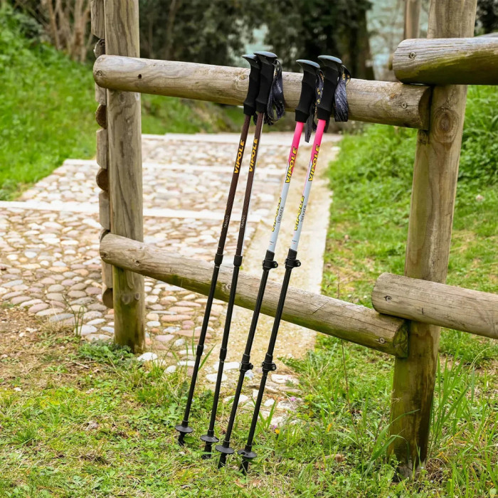 Палки трекинговые Vipole Trango (S25 15)  