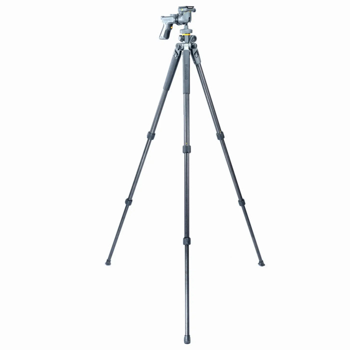 Штатив Vanguard Alta Pro 2+ 263CGHT (Alta Pro 2+ 263CGHT)  