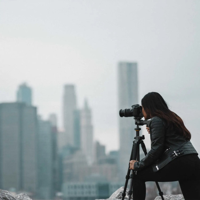 Штатив Vanguard Alta Pro 2+ 263CGHT (Alta Pro 2+ 263CGHT)  