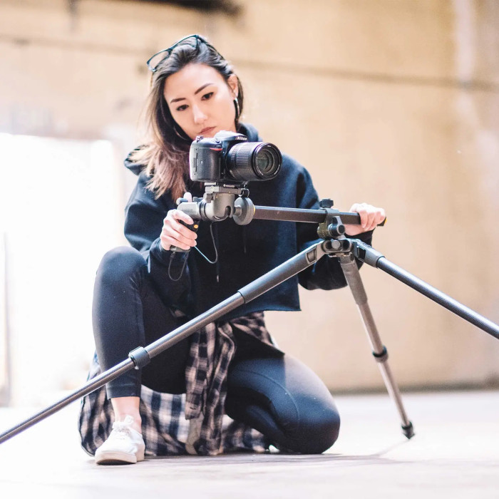 Штатив Vanguard Alta Pro 2+ 263CGHT (Alta Pro 2+ 263CGHT)  