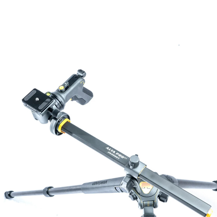 Штатив Vanguard Alta Pro 2+ 263CGHT (Alta Pro 2+ 263CGHT)  